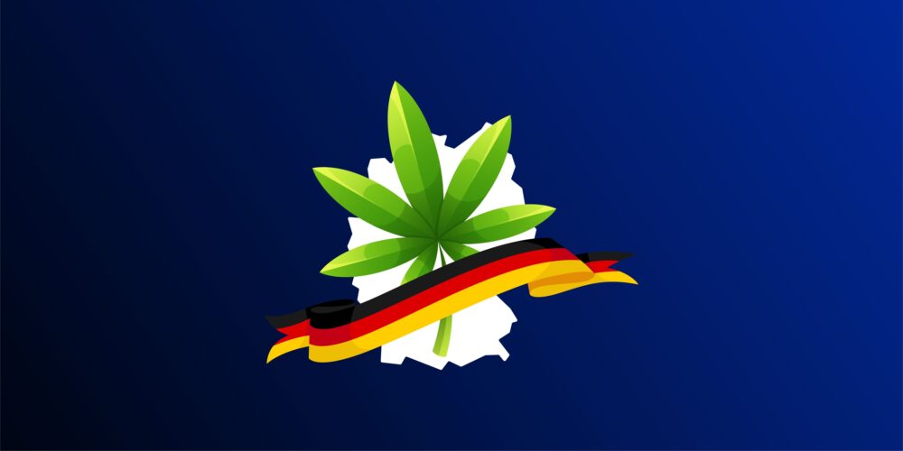 Rekordmenge an medizinischem Cannabis im Jahr 2024
